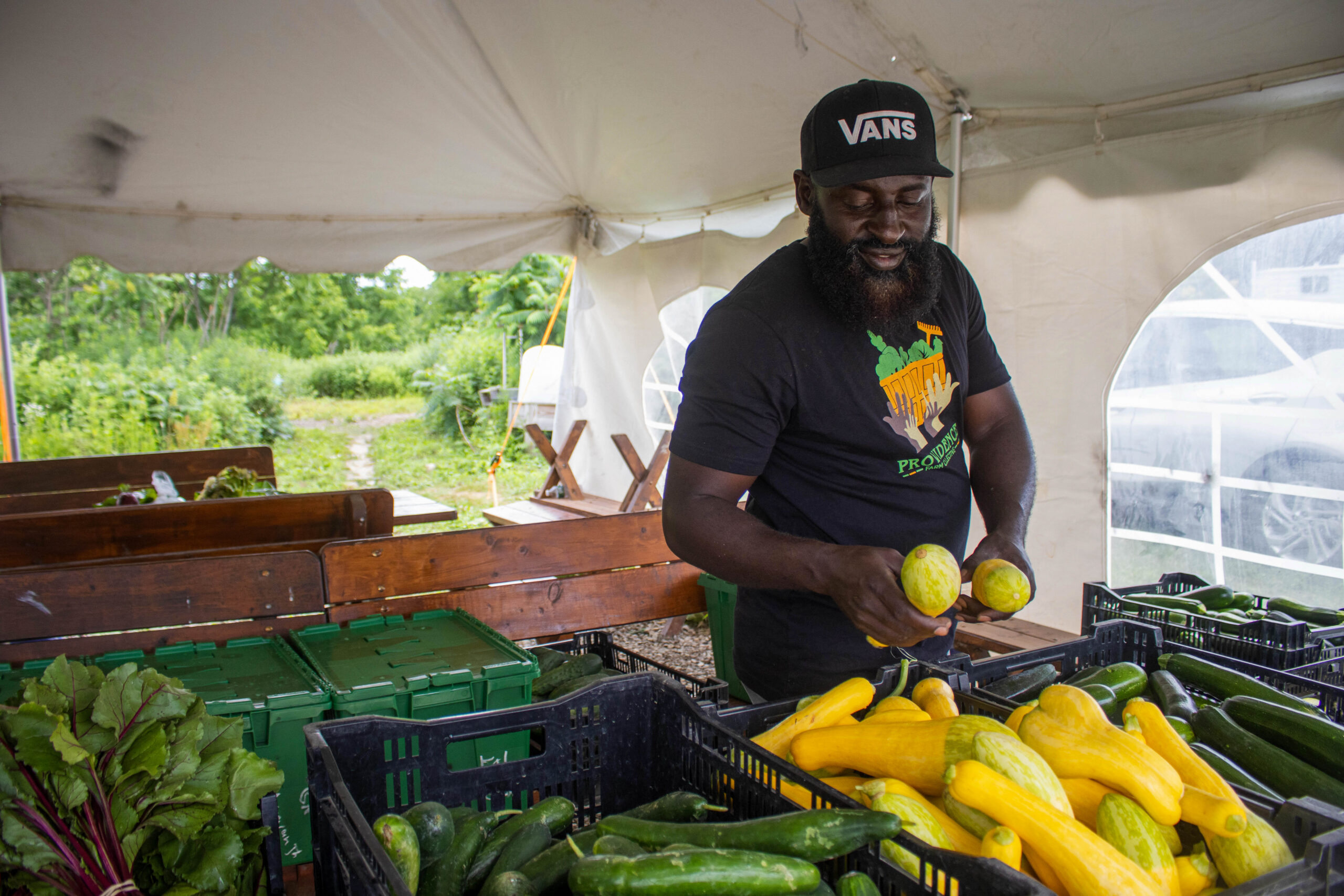 Share crops with 200 immigrant families at Orchard Park market