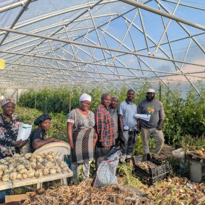 farmers in hightunnel